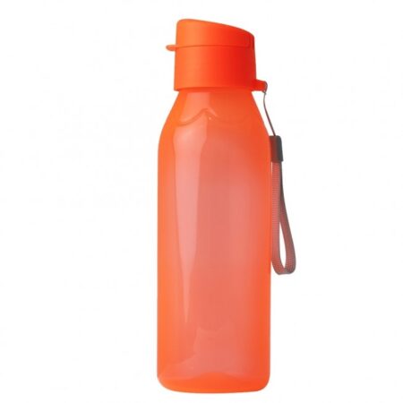 Squeeze Plástica 700ml